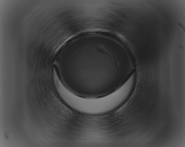 X0000101451361200807141234