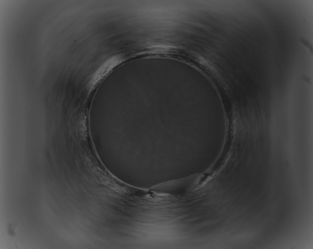 X0000101451362200807141234