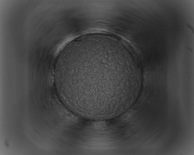 X0000101451363200807141234