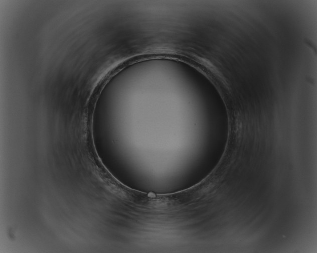 X0000101451364200807141234