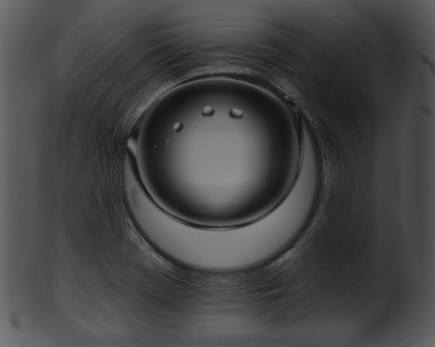 X0000101451369200807141234