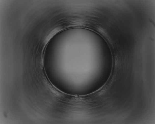 X0000101451370200807141234