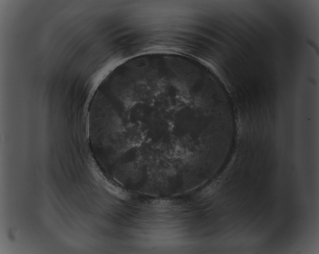 X0000101451371200807141234