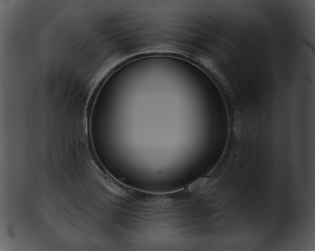 X0000101451372200807141234