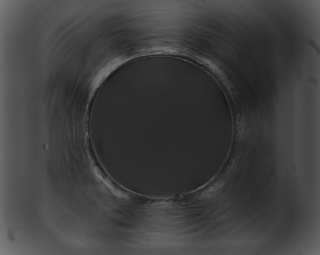 X0000101451373200807141234