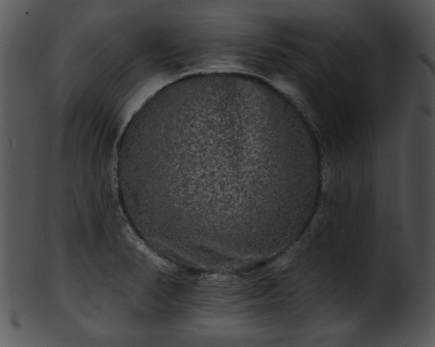 X0000101451374200807141234