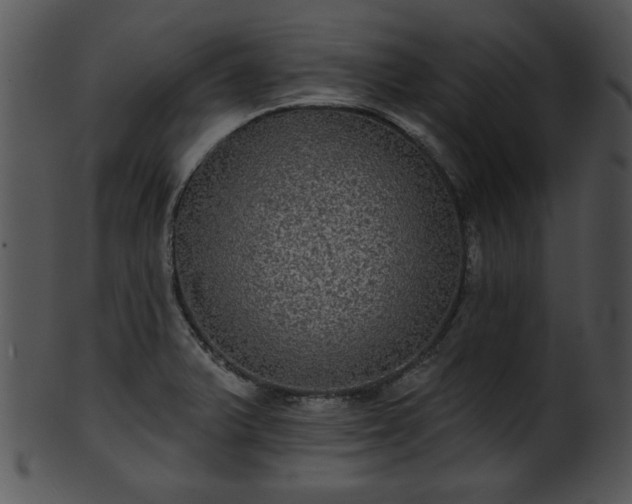 X0000101451375200807141234