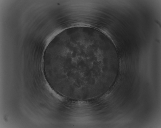 X0000101451379200807141234