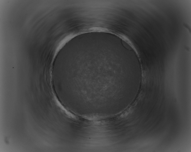 X0000101451381200807141234