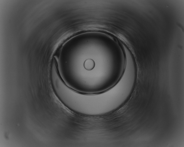 X0000101451384200807141234