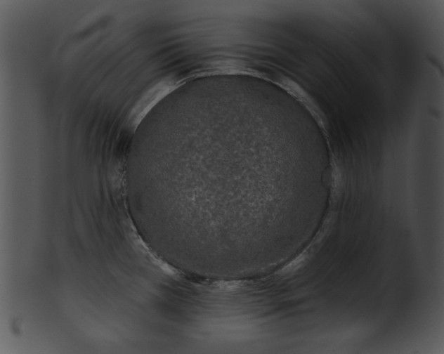 X0000101451385200807141234