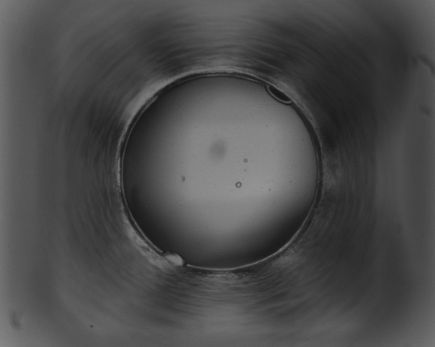 X0000101451388200807141234