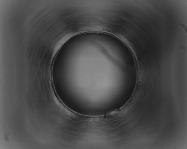 X0000101451389200807141234