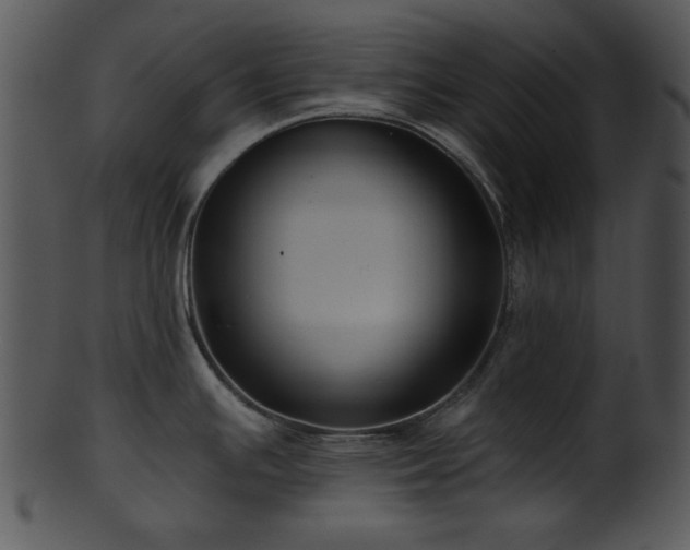 X0000101451391200807141234