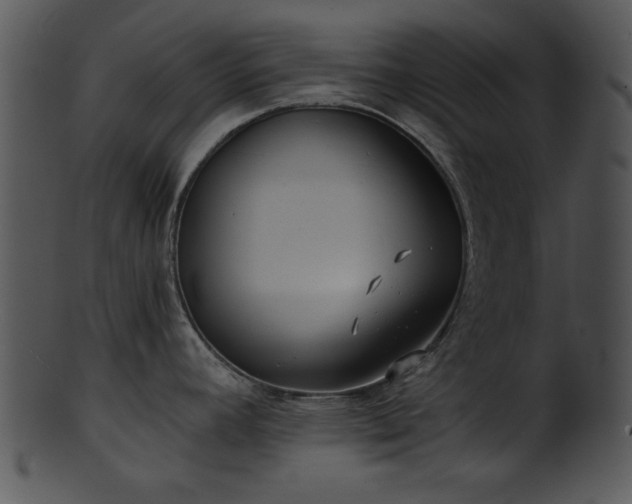 X0000101451392200807141234