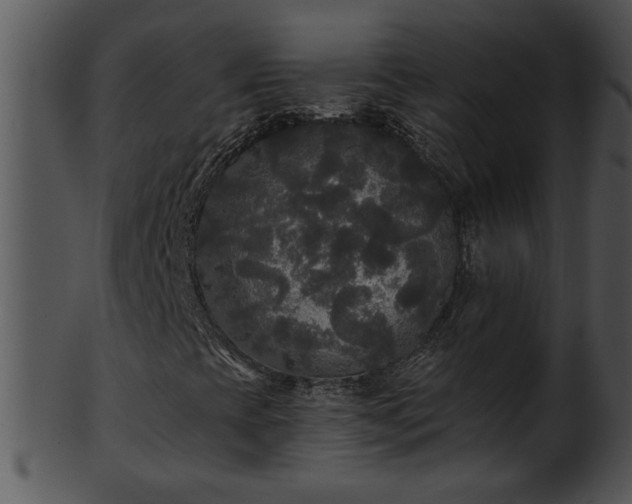 X0000101451393200807141233