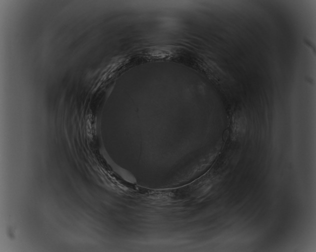 X0000101451394200807141233