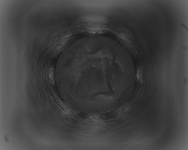 X0000101451396200807141233