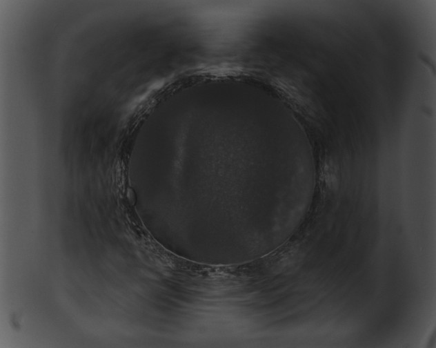 X0000101451398200807141233