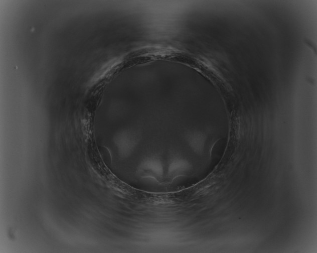 X0000101451399200807141233