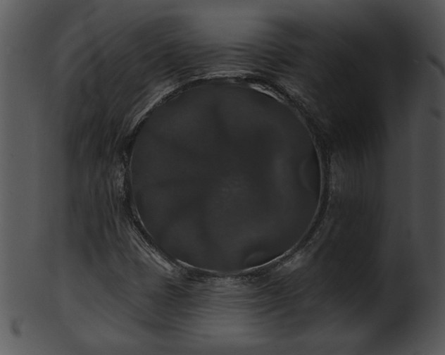 X0000101451401200807141233