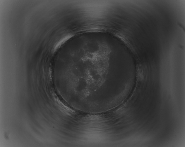 X0000101451402200807141233