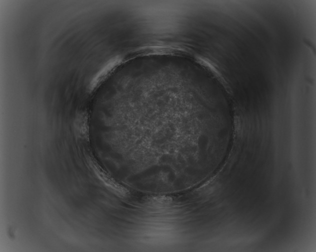 X0000101451403200807141233