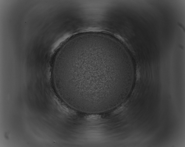 X0000101451406200807141233