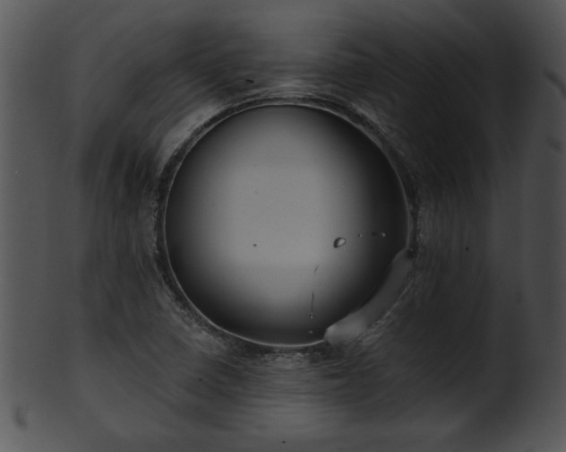 X0000101451410200807141233