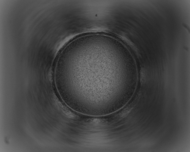 X0000101451412200807141233