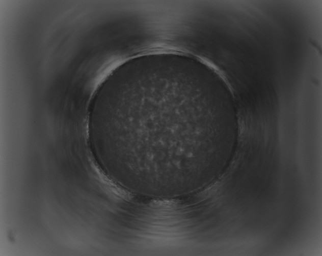 X0000101451415200807141233