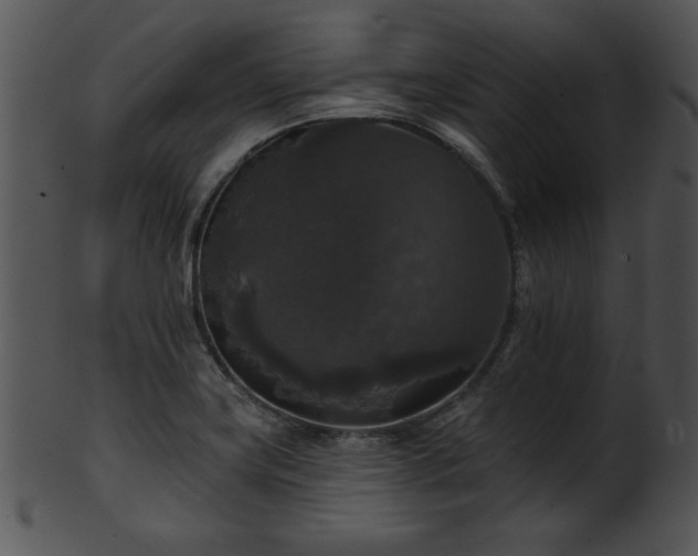 X0000101451419200807141233