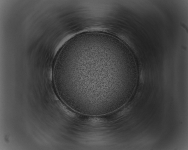 X0000101451420200807141233