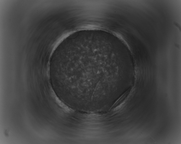 X0000101451421200807141233