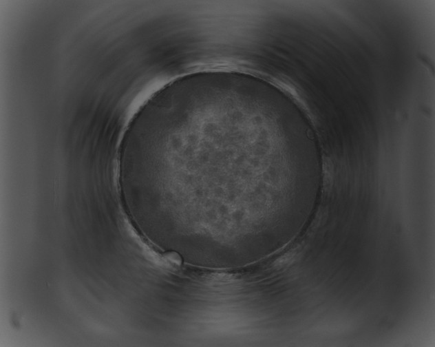 X0000101451424200807141233