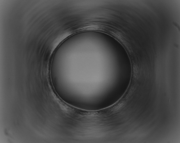 X0000101451426200807141233