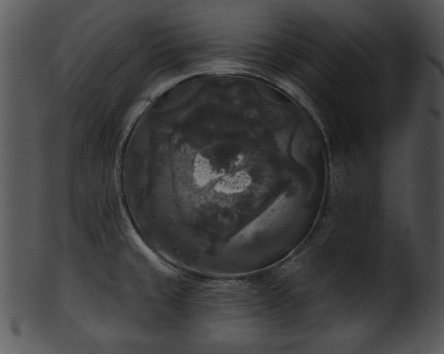 X0000101451429200807141233