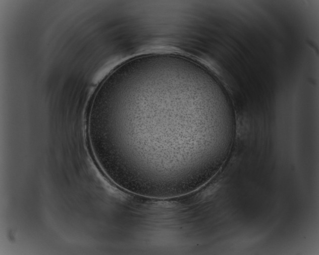 X0000101451430200807141233