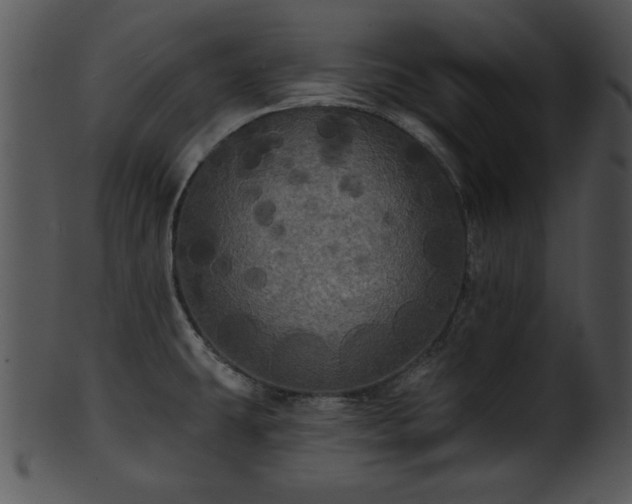 X0000101451431200807141233