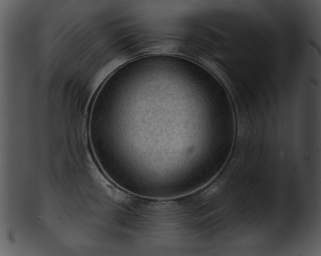 X0000101451434200807141233