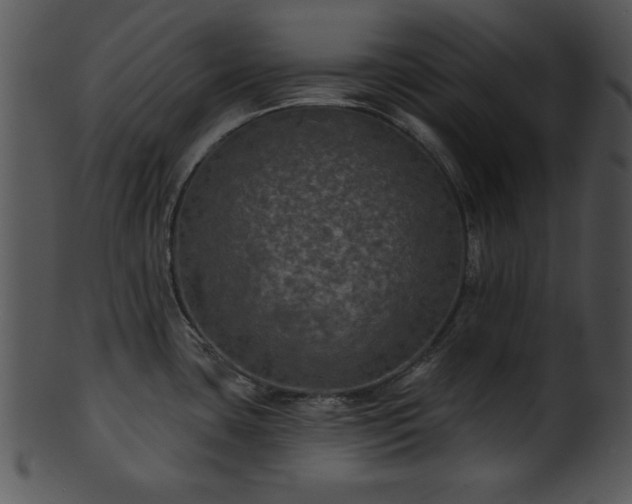 X0000101451435200807141233