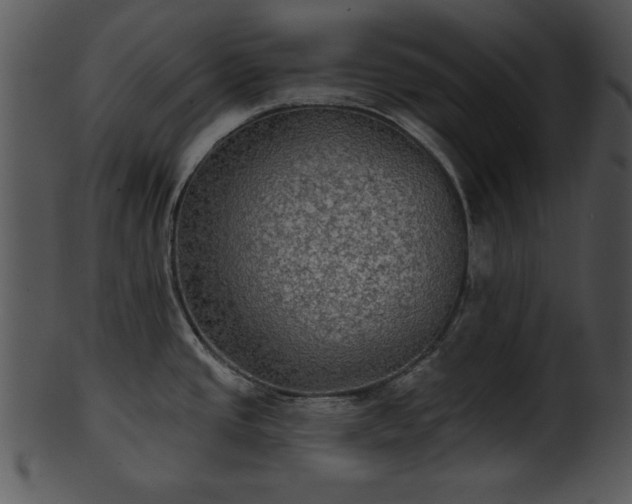 X0000101451437200807141234