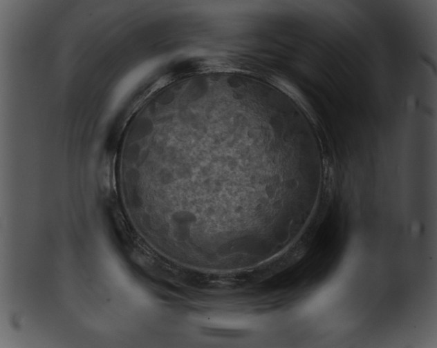 X0000101451439200807141234