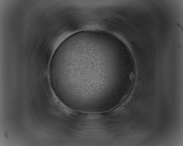 X0000101451440200807141234