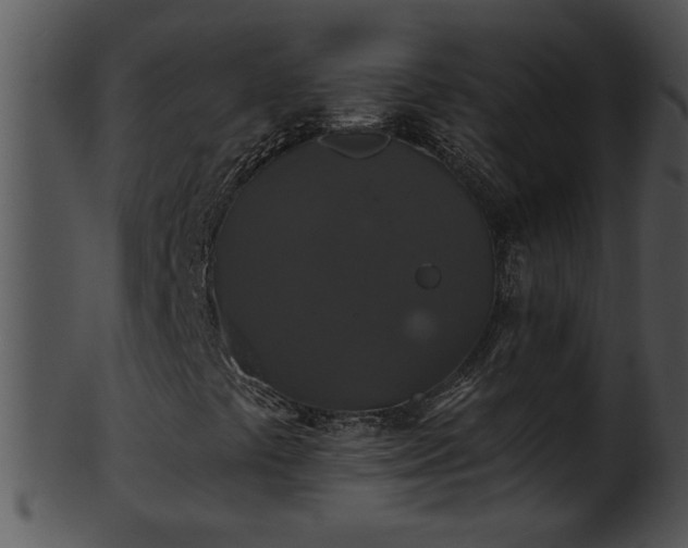 X0000101451441200807141233