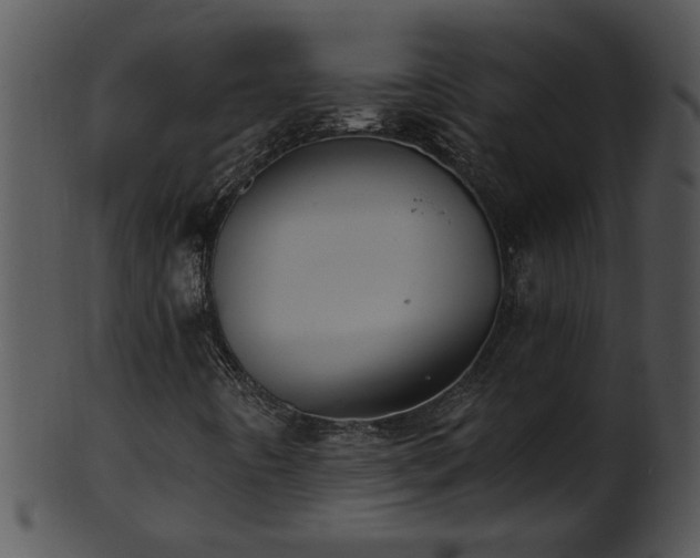 X0000101451442200807141233