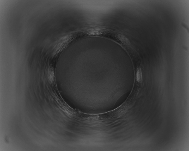 X0000101451444200807141233