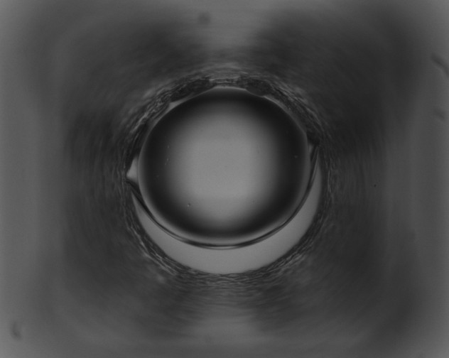 X0000101451445200807141233