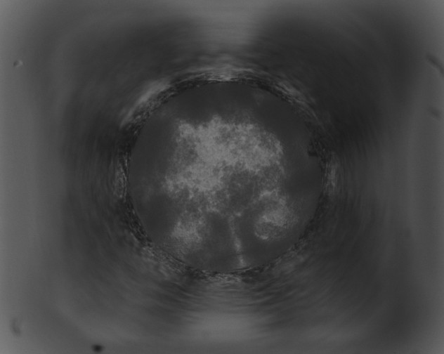 X0000101451446200807141233