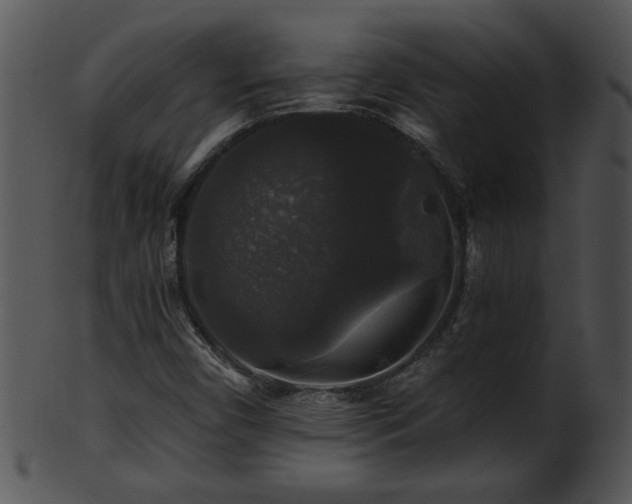 X0000101451450200807141233